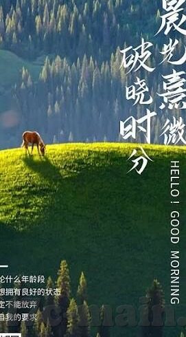 三级伦理农村电影-农村电影的伦理视角，三级伦理的深度剖析
